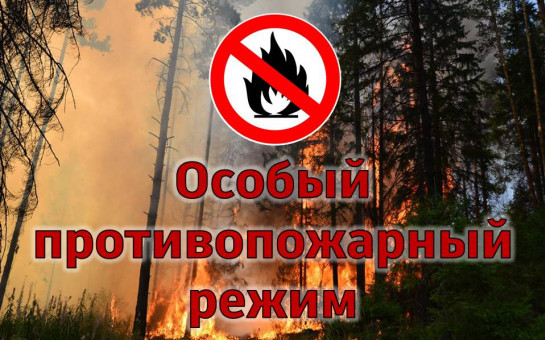 Граждане, занимающиеся сбором дикоросов и выуживанием рыбы!. Граждане, занимающиеся сбором дикоросов и выуживанием рыбы!.