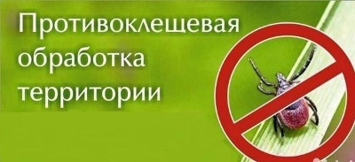 Антиклещевая обработка. Антиклещевая обработка.